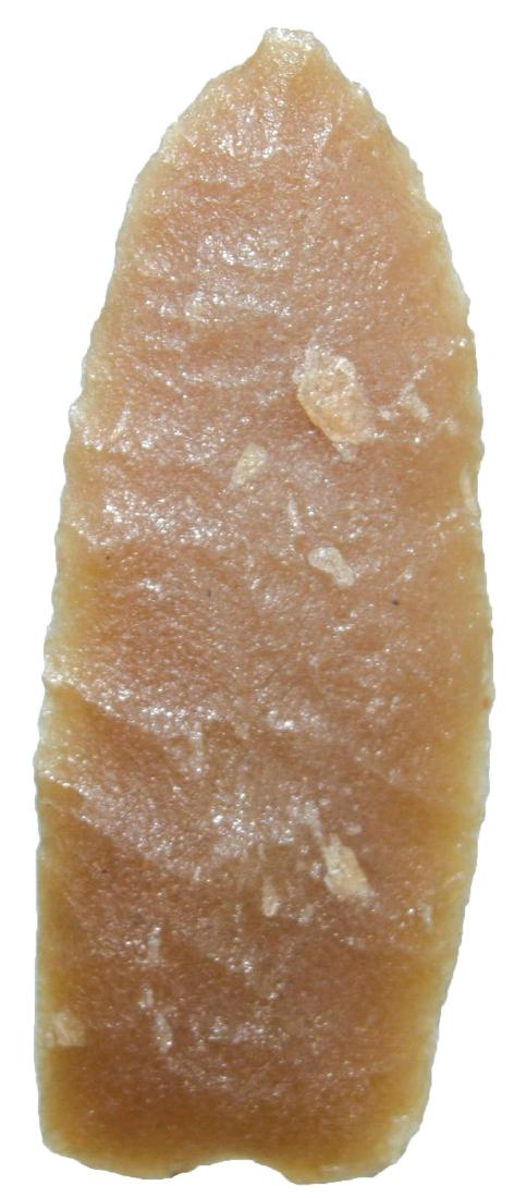 2 7/8" Angostura.  Adams Co, WI (Spring Bluff). (1 of 3)