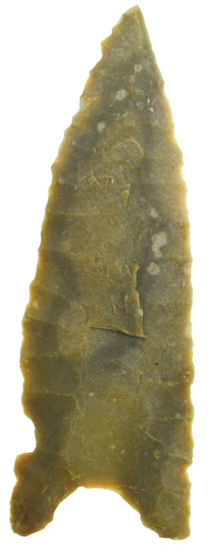 3 3/16" Dalton.  Cass Co, MO.   St. Louis Green chert. (1 of 3)