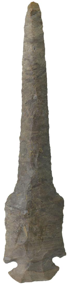 5 1/8" Dovetail Drill. TN.  Dover.  Putty G8 COA (1 of 3)