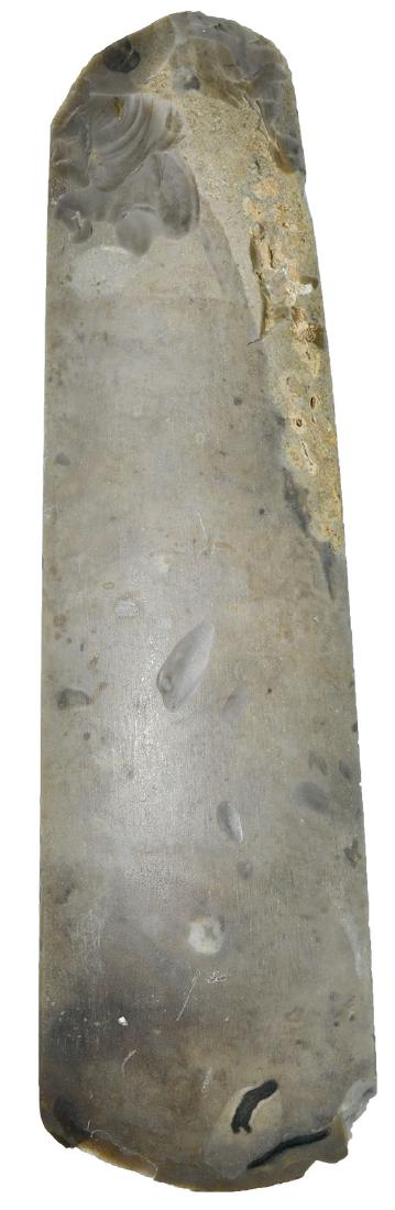 11 1/2" Neolithic Polished Flint Celt.  Jutland, (1 of 2)