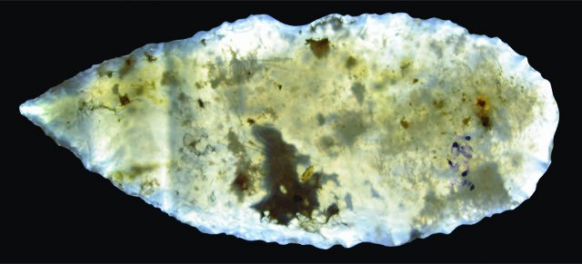 2 7/8" Archaic Leaf Blade.  Oregon.  Stermer COA. (1 of 4)