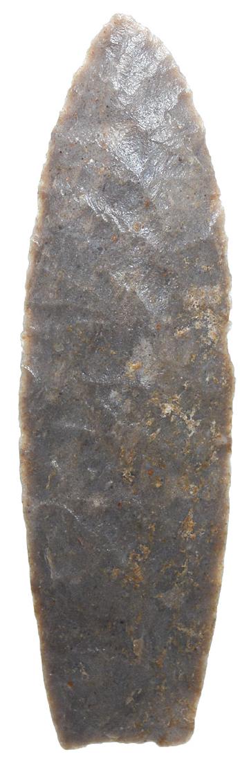 3 1/8" Angostura.  Nebraska.  Motley COA.  Gray (1 of 3)