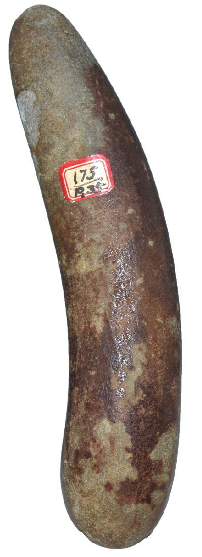 5 1/4" Polished Stone Tool.  Old tag (175/p.34) Ex-Earl (1 of 3)