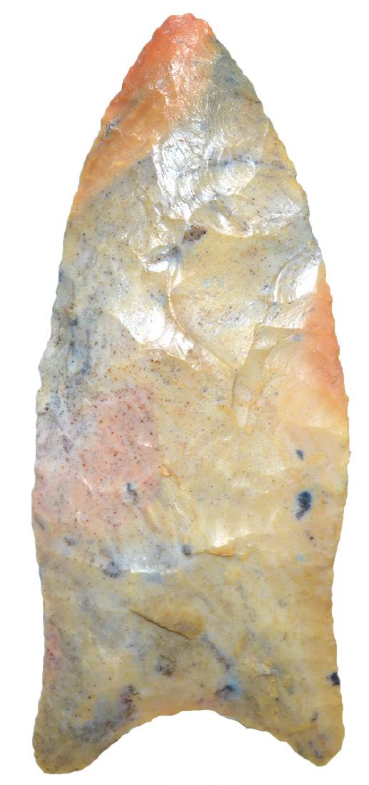 4" Suwannee Point.  FL.  Very colorful.  Fits in any (1 of 3)