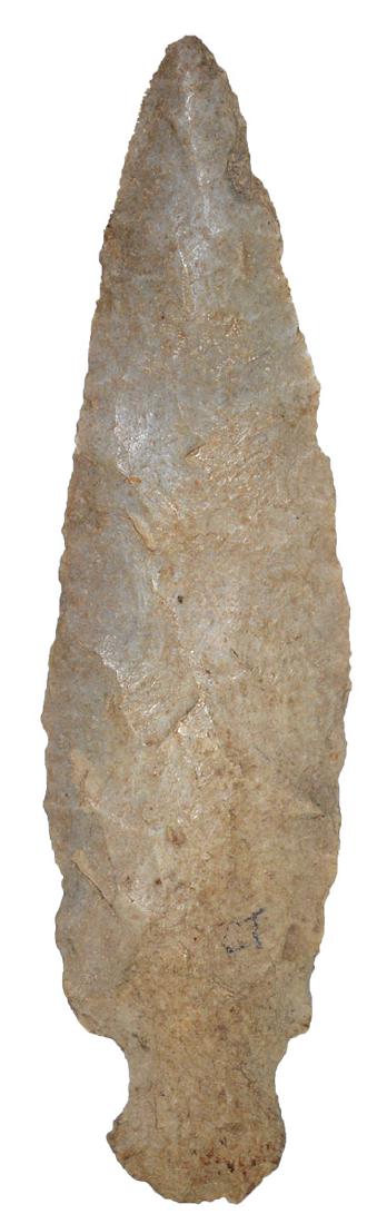 4 1/2" Turkeytail.  KY.  Thin.  Ex-Earl Townsend. (1 of 3)