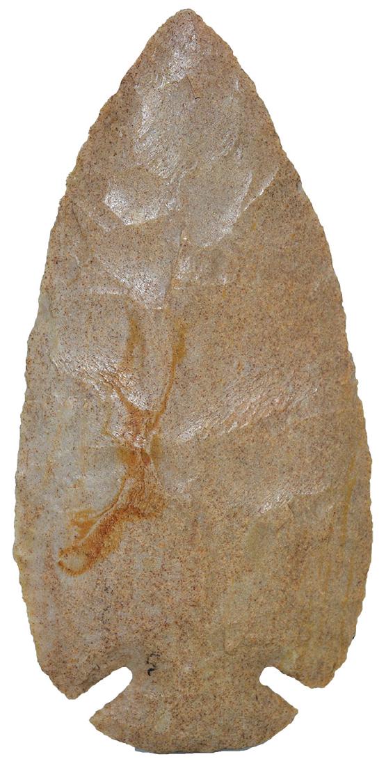 4 1/4" Dovetail.  Adams Co, OH.  Carter Cave.  Ex-Gary (1 of 3)