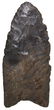 2 9/16" Clovis. Ex-Gary Noel. Jefferson Co, KY. High
