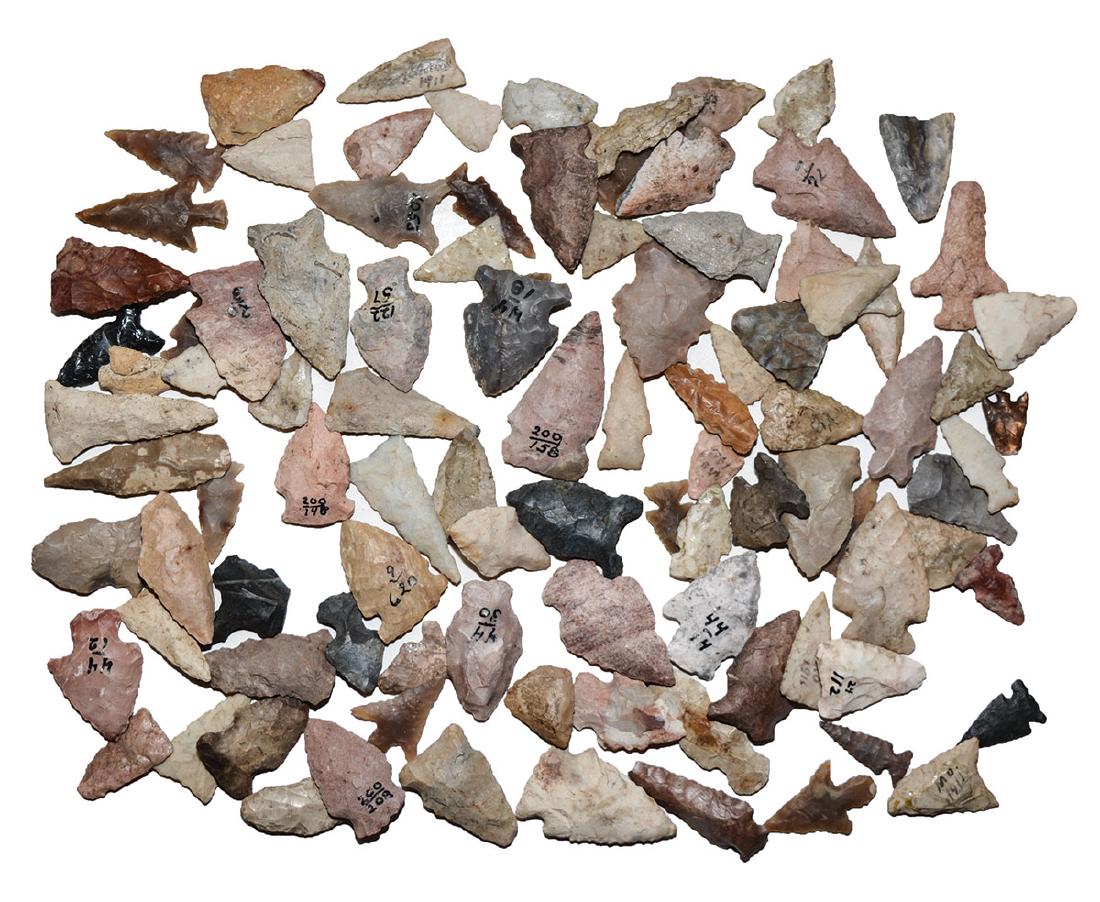 99 Birdpoints from the Earl Townsend Collection.  Nice (1 of 2)