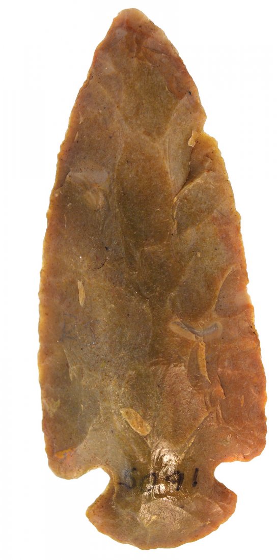 3 1/4" Dovetail.  Meade Co, KY.   Carter Cave.  Putty (1 of 3)