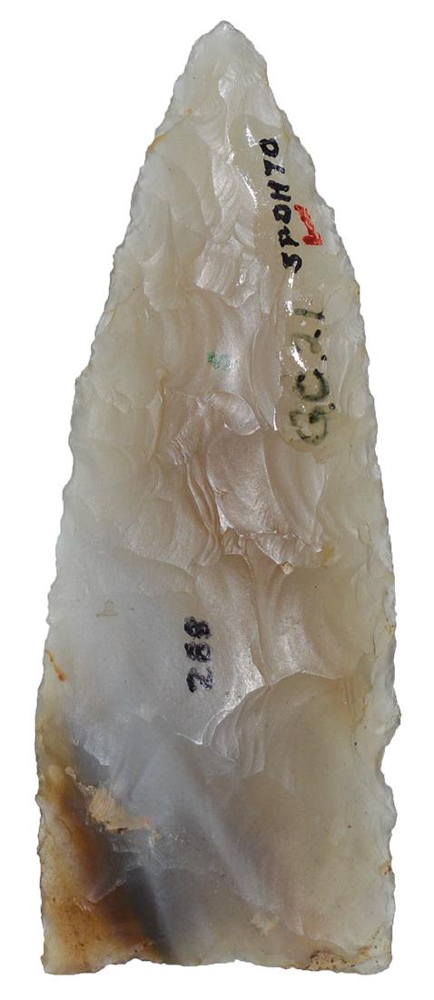 3 1/16" Plainview.  Red River Co, TX.  Rogers COA. (1 of 3)