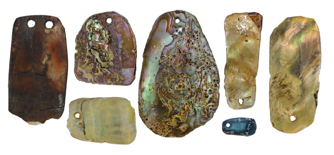 Six Drilled Shell Pendants (1 1/4"-2") and a green (1 of 1)