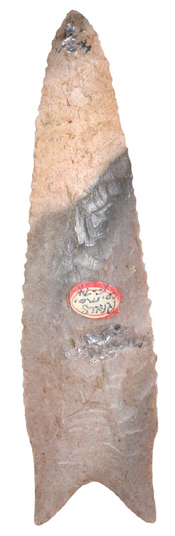 4 13/16" Dalton.  Ralls Co, MO.  Ex-Charlie Shewey, (1 of 2)