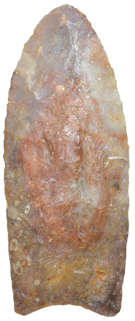 2 15/16" Clovis.  Grant Co, KY.  Form of Boyle Chert. (1 of 3)