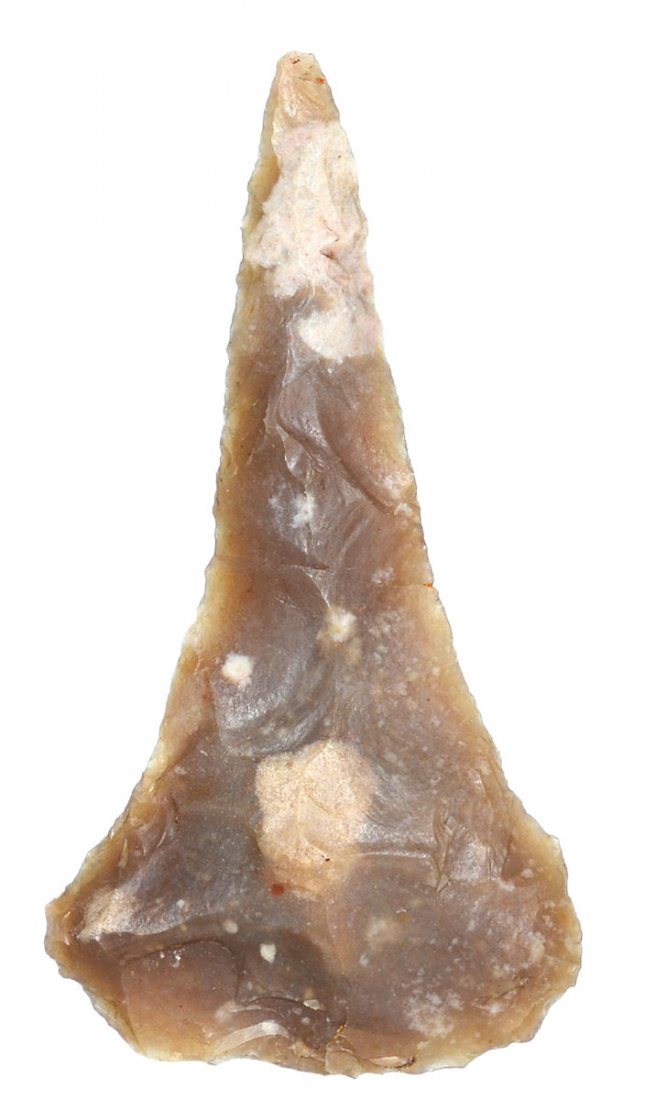 2 15/16" Drill.   TX.  Spotted Edwards Plateau. (1 of 2)