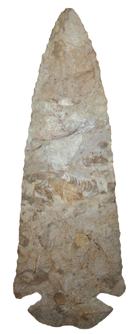 4 3/16" Dovetail.  Hamilton Co, OH.  Mottled Delaware (1 of 3)