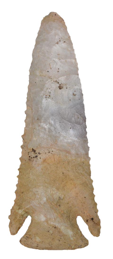 3 3/4" Lost Lake.  Davis G9 COA.  Lawrence Co, TN. (1 of 3)