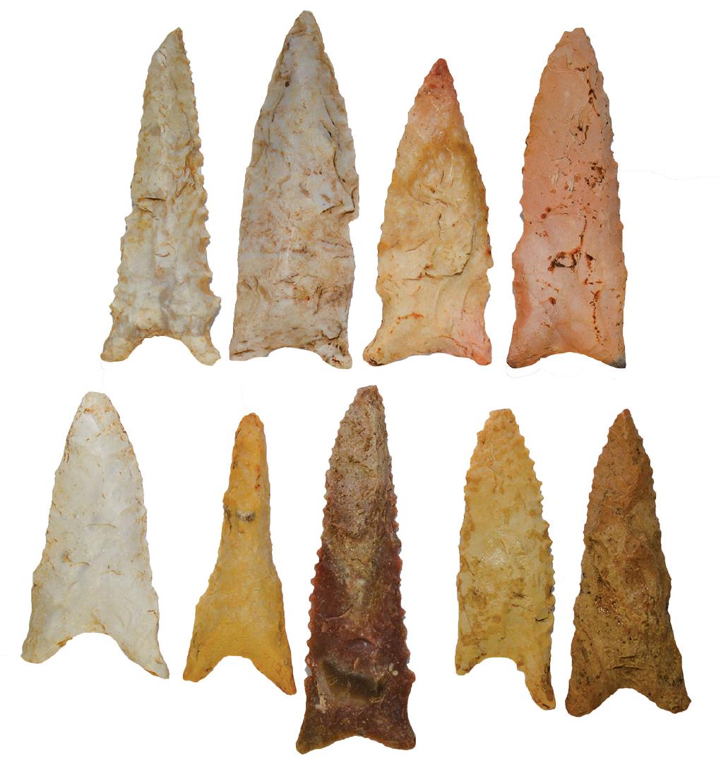 Group of 9 Daltons (2 3/8"-2 3/4").  AR/MO.  Nice (1 of 1)