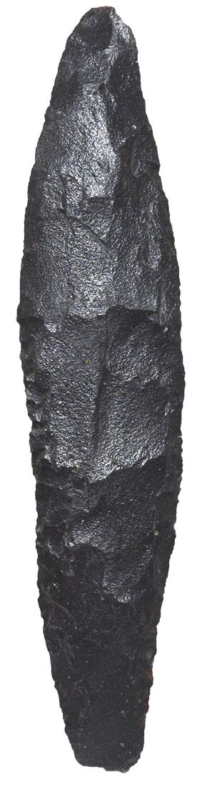 9" Cordilleran Blade.  Rogers COA.  Washington State. (1 of 3)