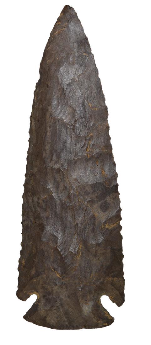 4 1/16" Dovetail.  Dickey COA.  Trigg Co, KY.  Thin, (1 of 4)