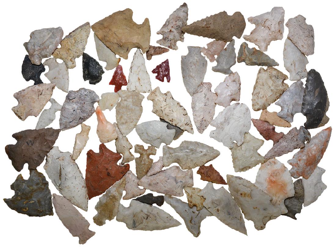 Group of 60 Birdpoints (3/4"-1 3/4").  Adams Co, IL. (1 of 1)