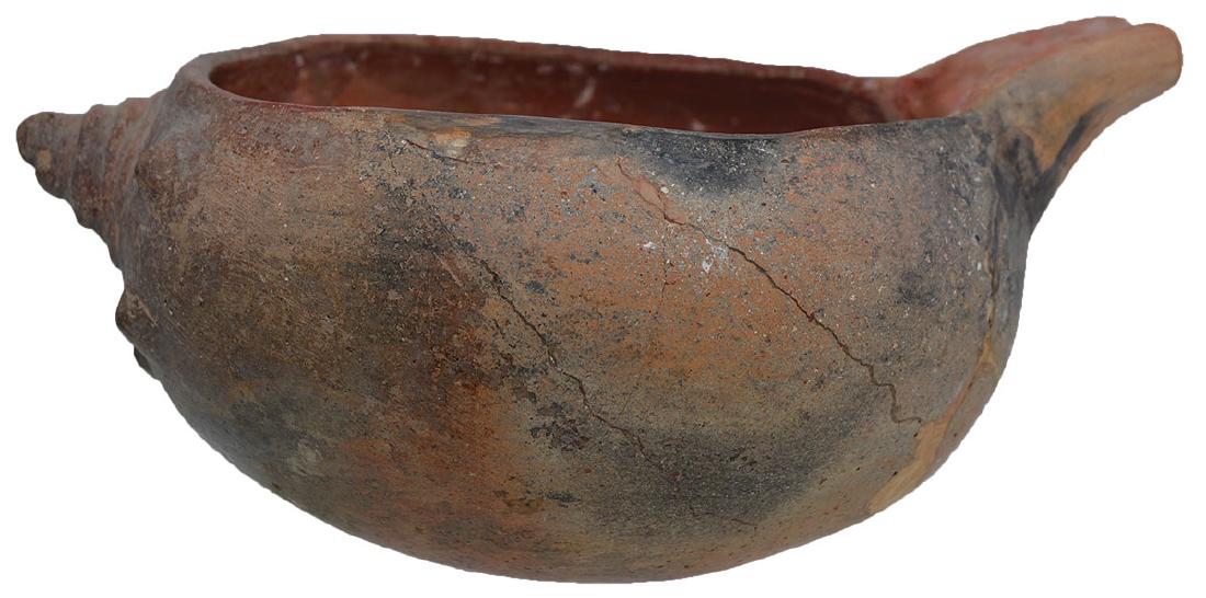9 3/16" D.  Conch Shell Effigy Bowl.  Crosskno Site. (1 of 5)