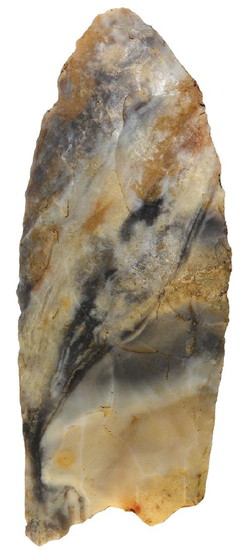 2 11/16" Clovis (Hazel type).  Dickey COA.  Cole Co, (1 of 3)