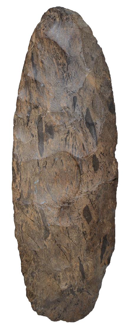 8" Dover Blade.  Stewart Co, TN.  Large example with (1 of 4)