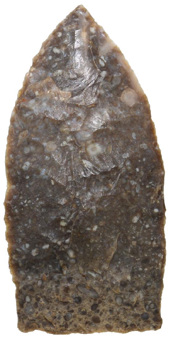 2" Browns Valley.  Mills Co, IA.  Fine Paleo point (1 of 2)