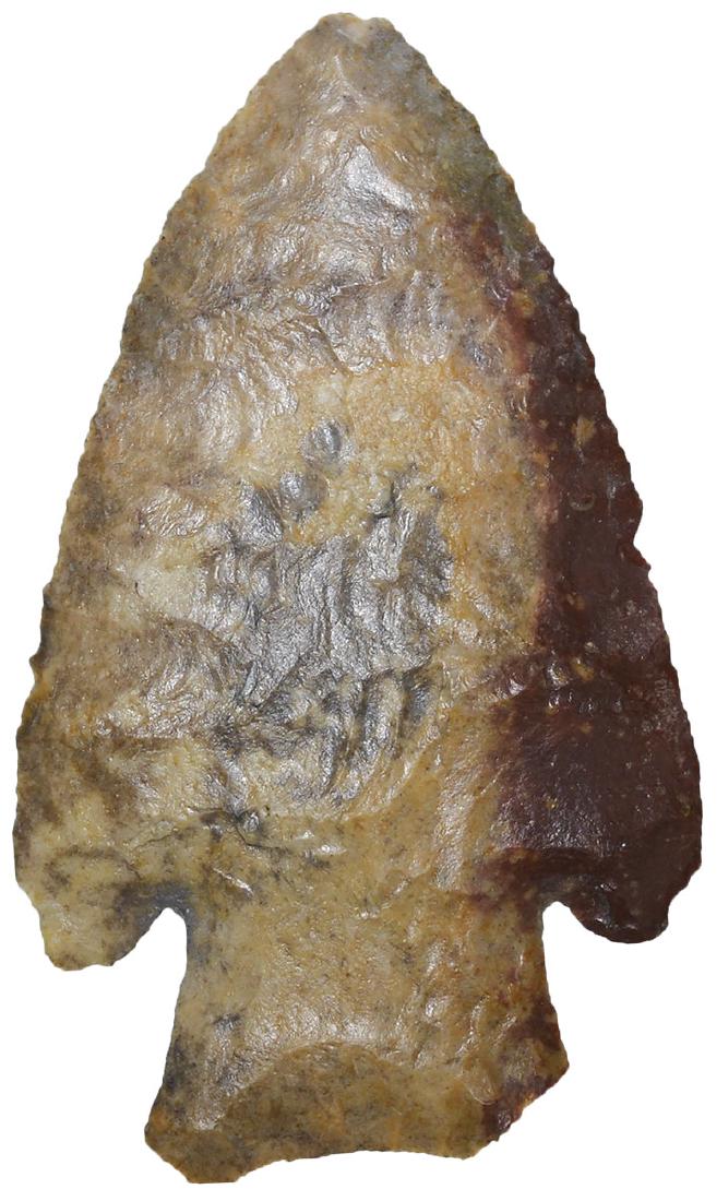 2 11/16" Hardin.  Iowa.  Colorful Cochrane Chert. (1 of 2)