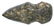 3 3/8" Keokuk Axe. Henry Co, IA. Pretty Porphyry - 5