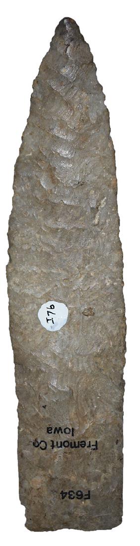 5 5/8" Yuma Point (Allen).  Fremont Co, IA.  Motley (1 of 3)