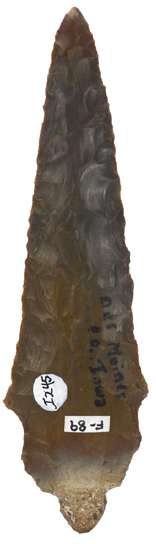 4 5/16" Double Notch Turkeytail.  Motley COA.  Des (1 of 3)