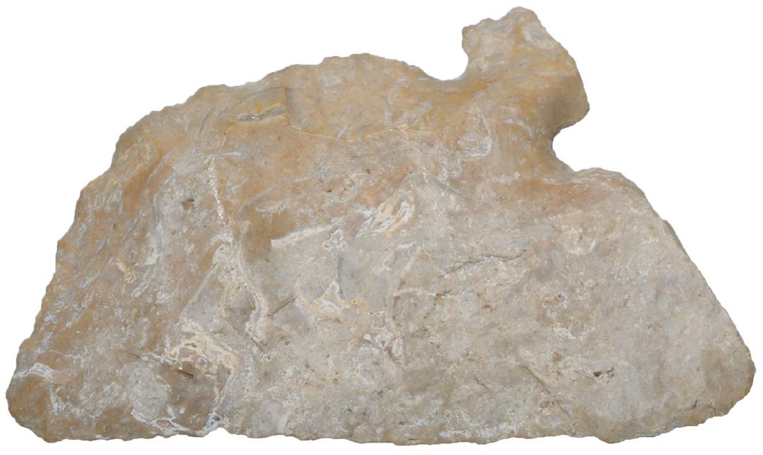 2 11/16" Back Tang Knife.  Pictured.  Ex-Paul Kline. (1 of 2)