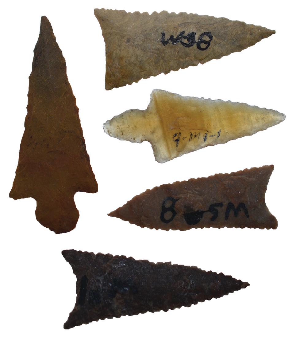 5 Caddo Points (Hayes and Triangular Points).  Ex-Joe (1 of 2)