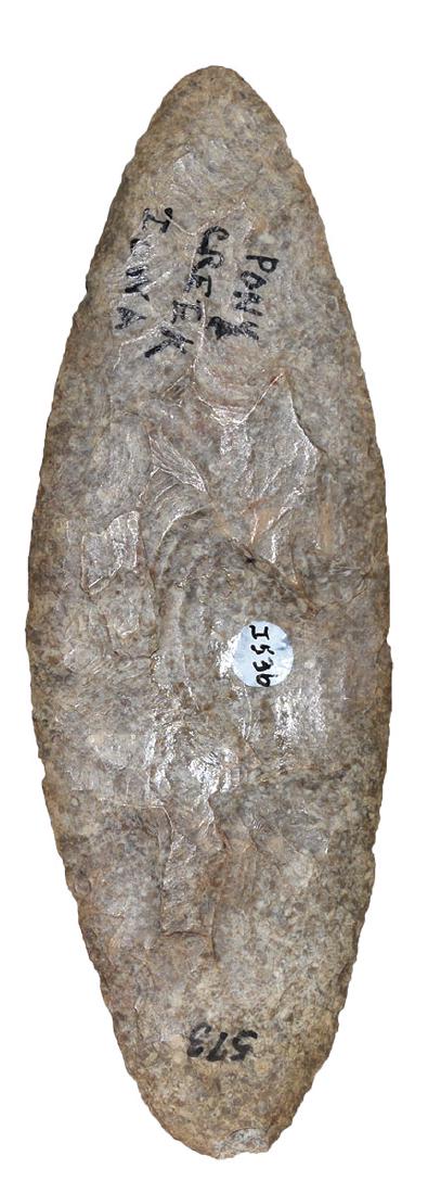 2 Well made Fleshing Knives (4" & 3 7/8").   Ex-Paul (1 of 4)