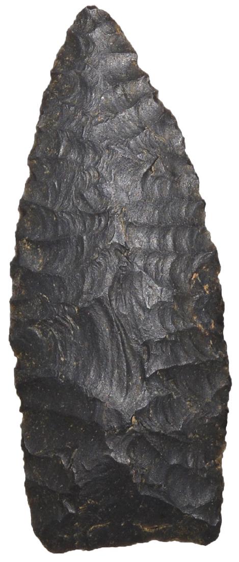 2 3/4" Paleo Lanceolate.  Bracken Co, KY.  Rogers COA. (1 of 3)
