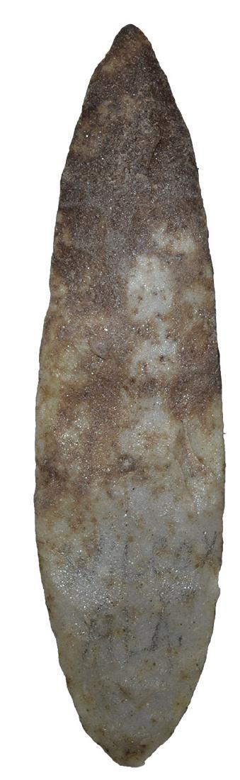 6 7/16" Tupelo Blade.  Wilcox Co, AL.  Talahatta (1 of 2)