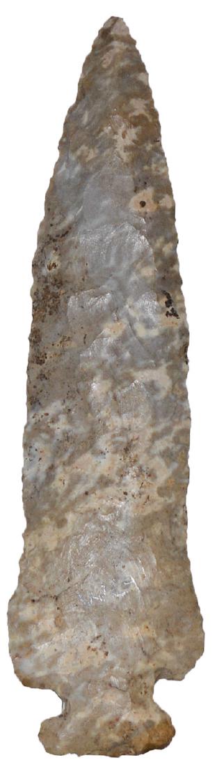 4 3/8" Archaic Side Notch. Rogers COA. Robertson Co,: 4 3/8" Archaic Side Notch. Robertson Co, KY. Speckled Ft. Payne. Thin. Ex-Bill Craycraft. Rogers COA