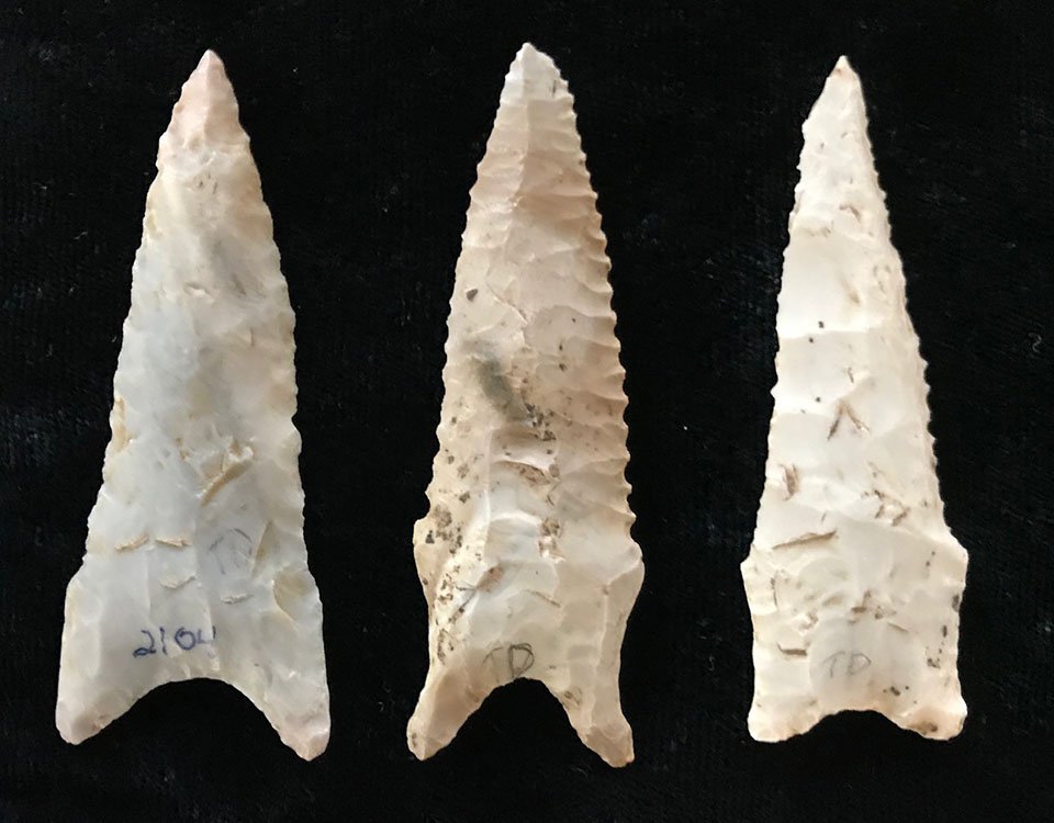 3 very nice Missouri Daltons. Each has Dickey COA: 3 very nice Missouri Daltons (2 5/8"-2 7/8"). Warren, St. Louis and Lincoln. Each has Dickey COA