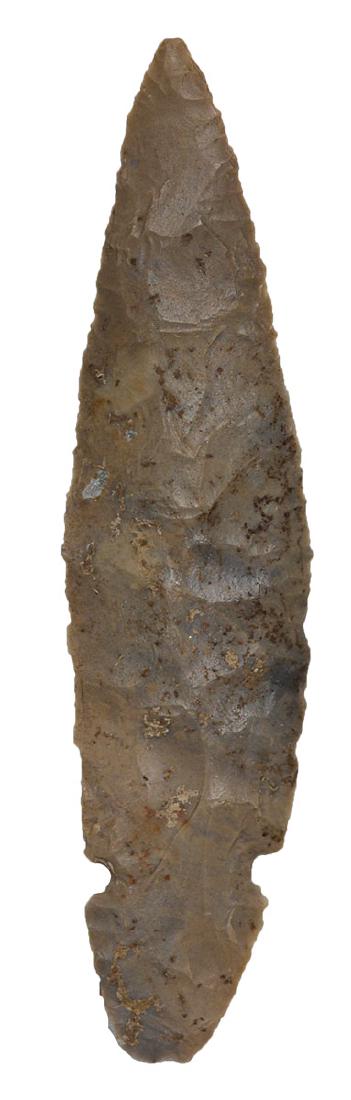 5 1/2" Turkeytail. Grayson Co, KY. Thin, patinated: 5 1/2" Turkeytail. Grayson Co, KY. Thin, well patinated Hornstone. Ex-Don Kinkade, Jim Bennett. Found by Amos Whobrey