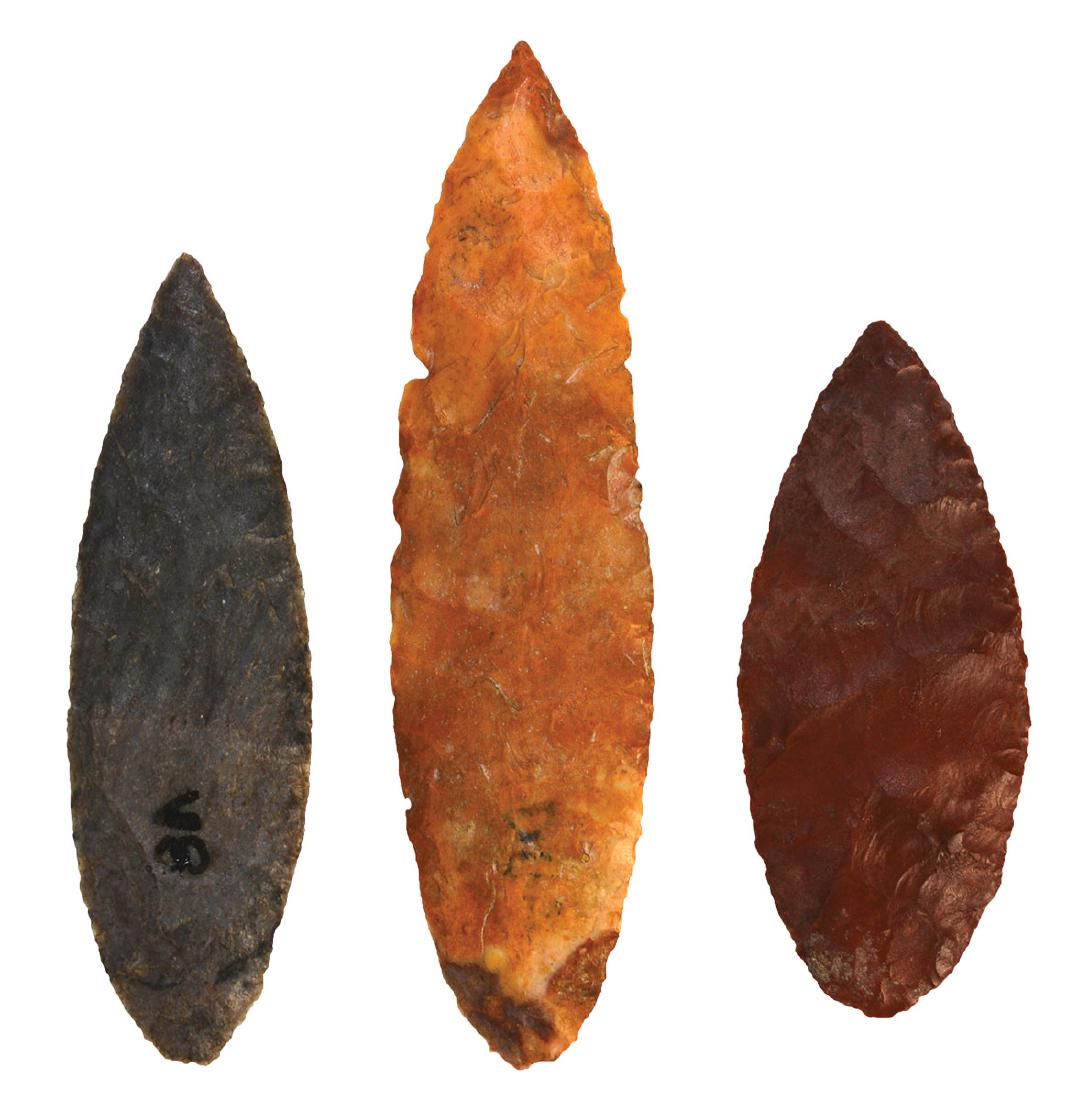 Three Willow Leaf Points. From the Edward Payne Willow: Three Willow Leaf Points. 1 1/2"-2 3/16". Wafer thin. Spiro Influence points attributed to Spiro Mound. From the Edward Payne Willow Leaf group