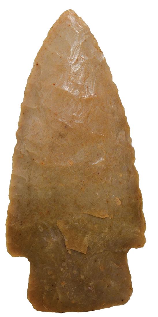 2 3/4" Scottsbluff. Rogers COA. Washington Co, TX.: 2 3/4" Scottsbluff. Washington Co, TX. G10 example, glossy tan chert. Ex-William Heck. FB George Wolf. Rogers COA