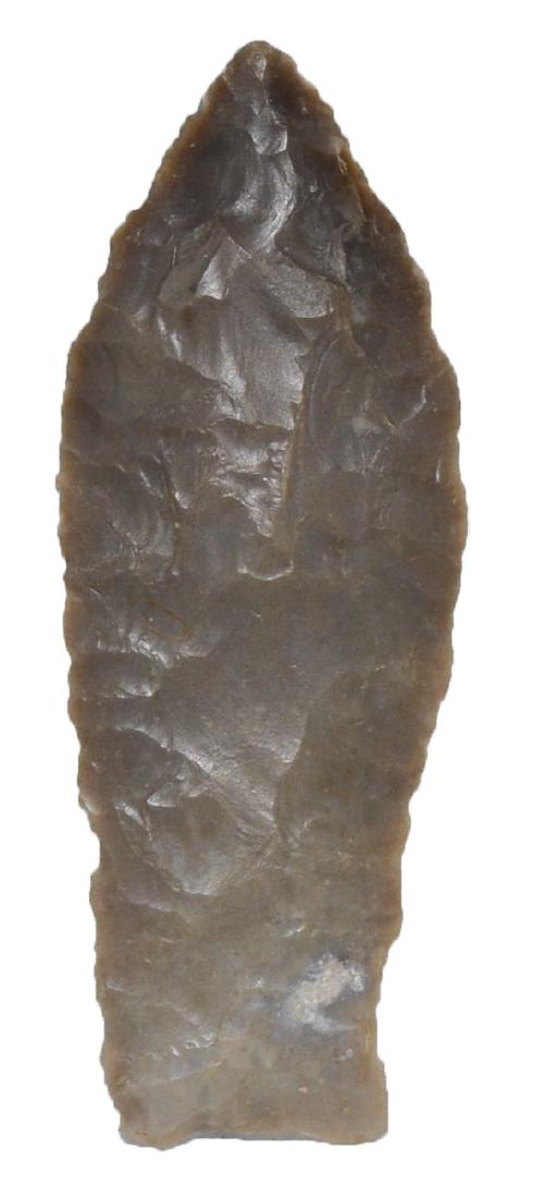 2 9/16" Levi. Harris Co, TX. Ex-Mark Adams. FB Joe: 2 9/16" Levi. Harris Co, TX. Ex-Mark Adams. FB Joe Owen. Rogers COA