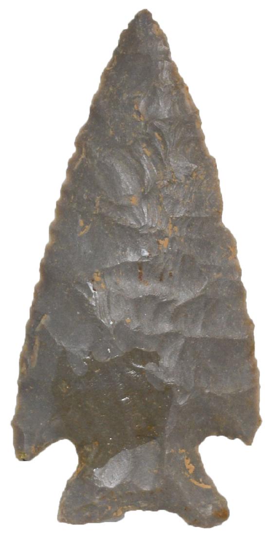 3" Stilwell. Owen Co, KY. Hornstone. Ex-Steve: 3" Stilwell. Owen Co, KY. Hornstone. Ex-Steve Dowell. Putty G8 COA