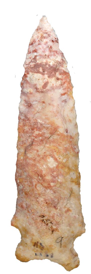 4 5/16" Graham Cave. Rogers COA. Pike Co, MO. Red: 4 5/16" Graham Cave. Pike Co, MO. Red and white chert. Glossy. Ex-Randy Hudson. FB George Morris. Rogers COA