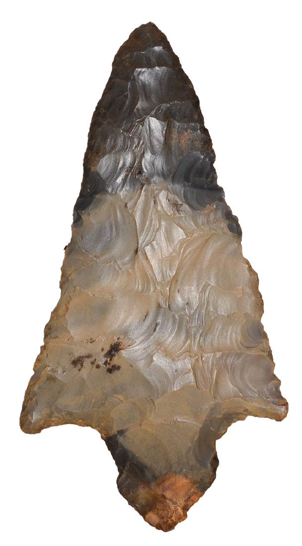5" Ross Point. Southern IN. Rare point type made of: 5" Ross Point. Southern IN. Rare point type made of mottled Hornstone. Thin. Ex-Randall Kimbrell. Putty COA