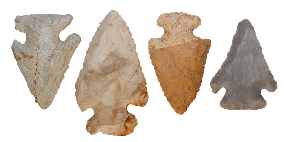 Group of four Thebes (2"-2 3/4"). All fine examples: Group of four Thebes (2"-2 3/4"). Largest to smallest; White Co, IL, Sullinvan Co, IN, Sullivan Co, IN (IN Green), White Co, IL (found by Robert Wade). All fine examples