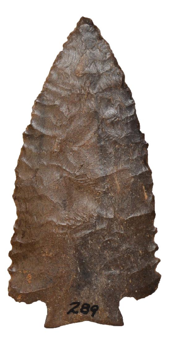 3 5/16" Decatur. Rogers COA. Pictured on the cover: 3 5/16" Decatur. Richland Co, OH. Dark brown Delaware Chert. Finely made, with detailed edge flaking. Fine condition. Ex-Gilbert Cooper, Mark Bach Collection. Pictured on the cover of Prehistoric Anti