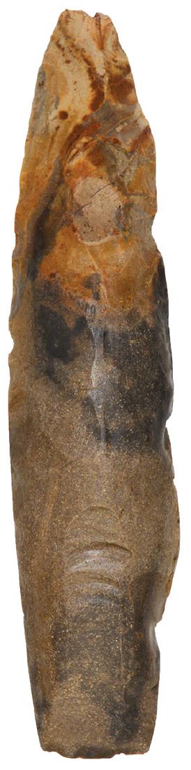 8 3/8" Curved Flint Adz. Randolph Co, IL. Colorful: 8 3/8" Curved Flint Adz. Randolph Co, IL. Large, well defined tool made of a colorful chert. Found in 1919