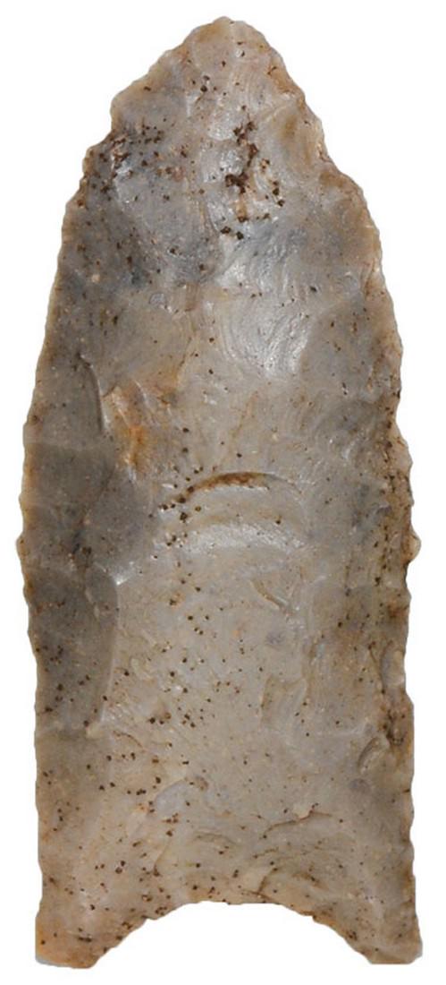 2 1/16" Clovis.  Davis G9 COA.   Hammond Co, TN. (1 of 3)